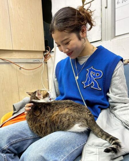 猫と湯浅亜実